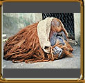 Orangutang, Rio de Janeiro Zoological Garden
